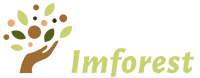Proyecto Imforest | Catálogo PFNM